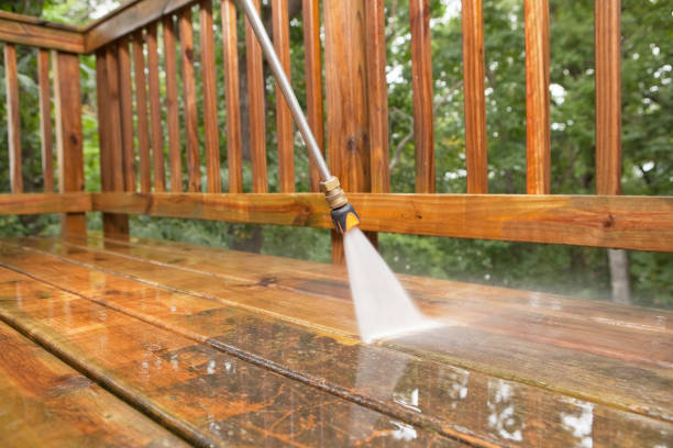 Best Solar Panel Cleaning  in Farmland, IN
